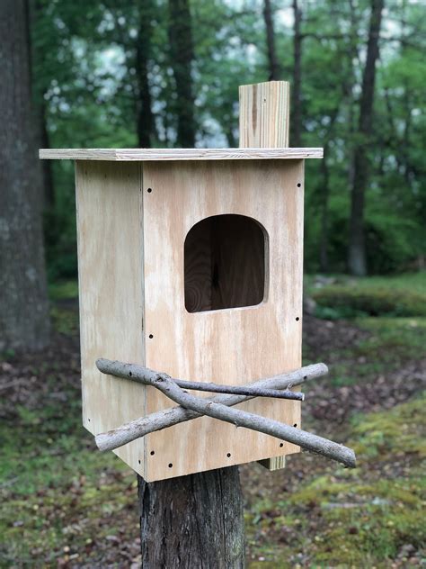 where to site owl boxes